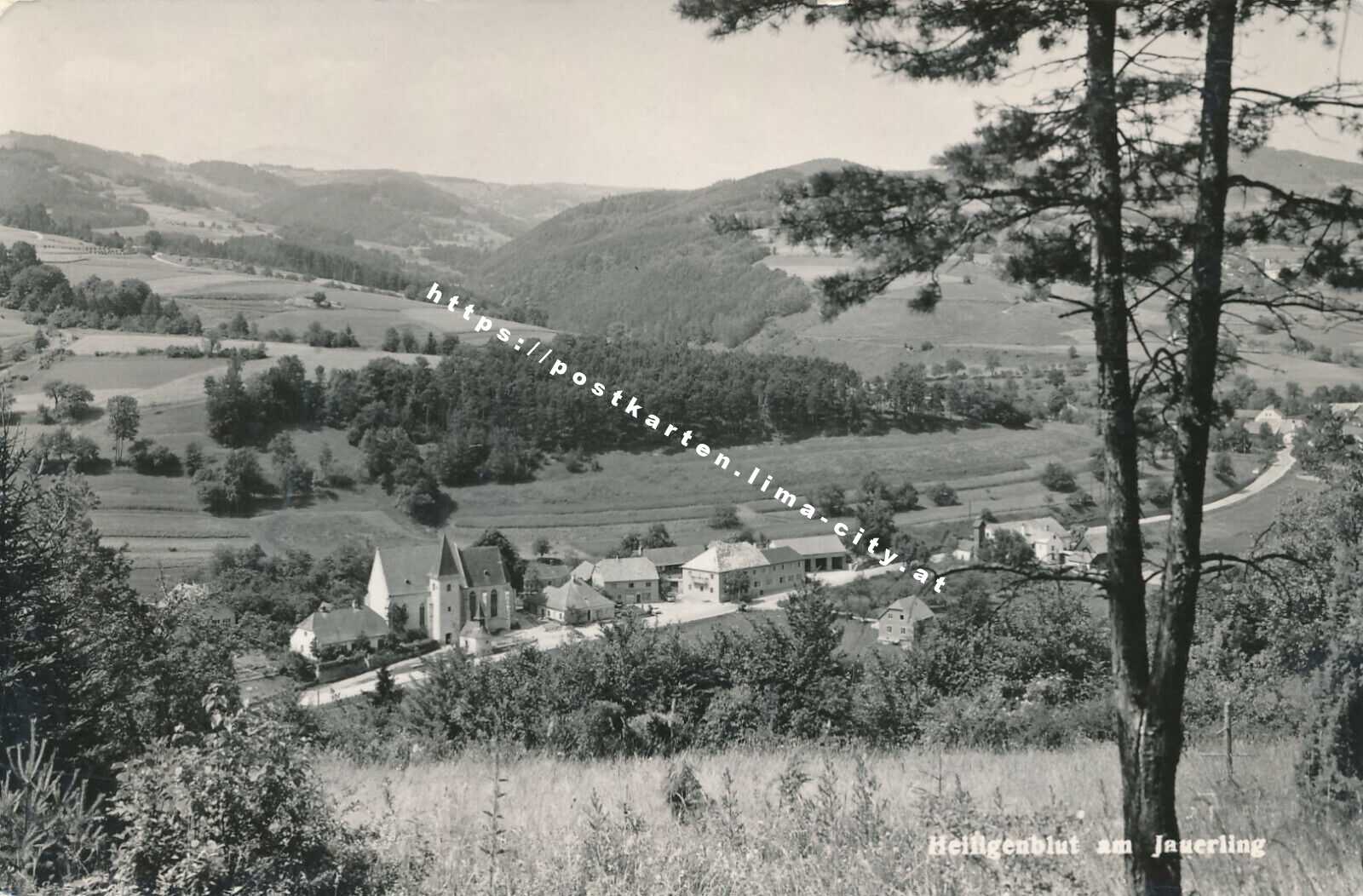 Heiligenblut am Jauerling 1965